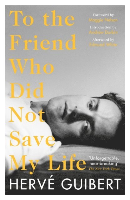 Hervé Guibert - To the Friend Who Did Not Save My Life, E-bok
