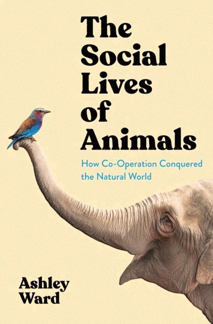 Ashley Ward - Social Lives of Animals, E-bok