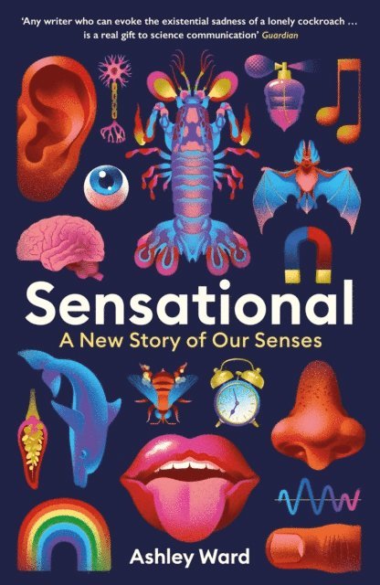 Ashley Ward - Sensational, E-bok