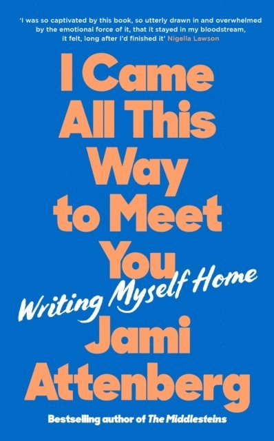 Jami Attenberg - I Came All This Way to Meet You, E-bok
