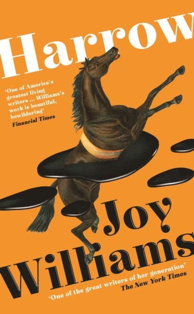 Joy Williams - Harrow, E-bok