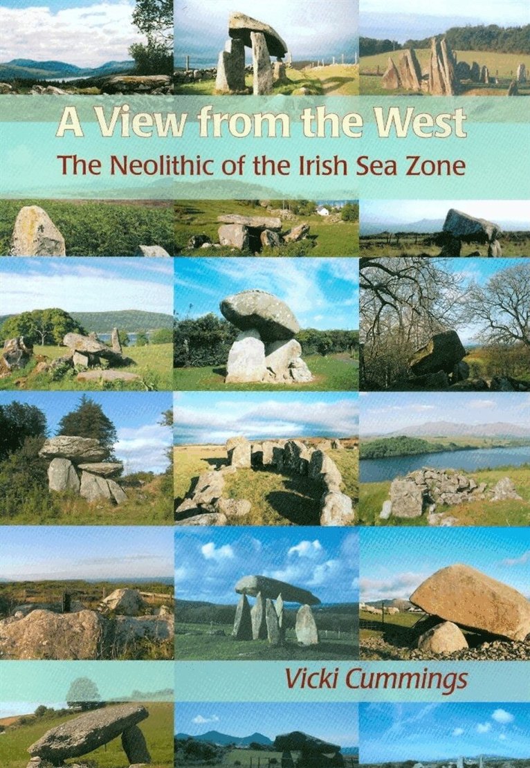 Vicki Cummings - A View from the West, E-bok