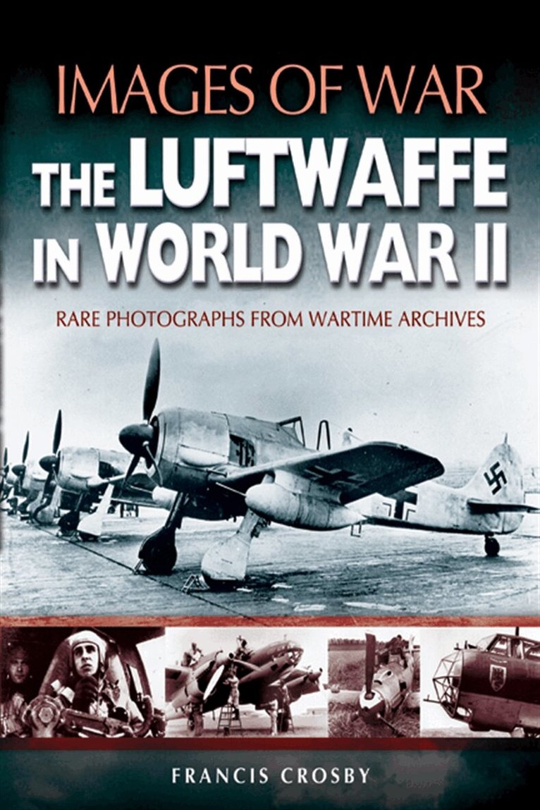 Francis Crosby - Luftwaffe in World War II, E-bok