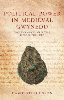 David Stephenson - Political Power in Medieval Gwynedd, Häftad. Tillgänglighet: Lägg i varukorg