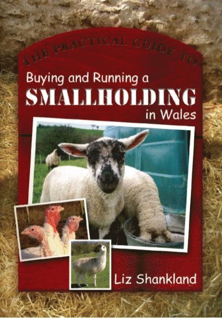 Liz Shankland - Practical Guide to Buying and Running a Smallholding in Wales, E-bok. Tillgänglighet: Lägg i varukorg