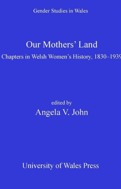 Angela  V John - Our Mothers' Land, E-bok