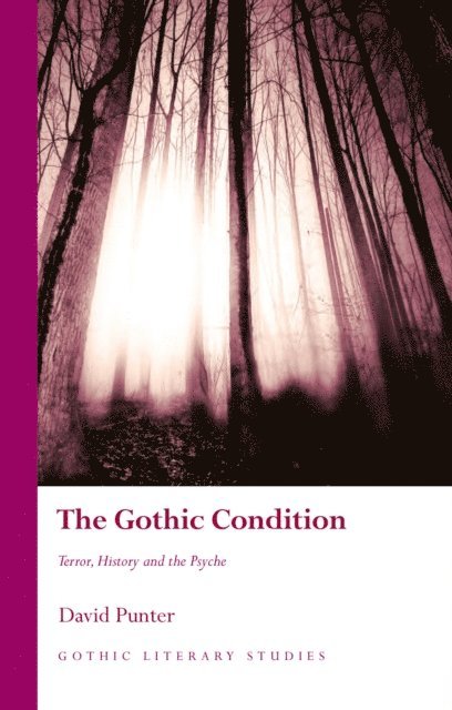 David Punter - Gothic Condition, E-bok
