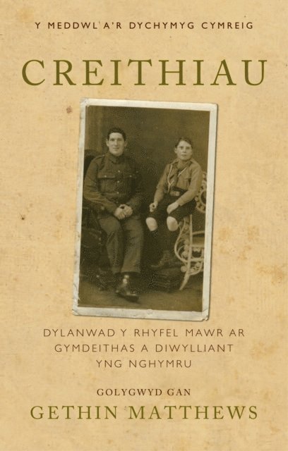 Gethin Matthews - Creithiau, E-bok