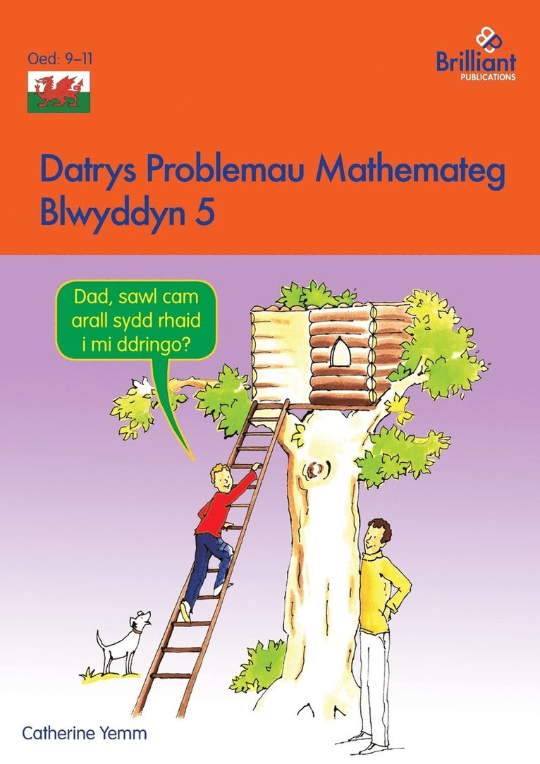 Catherine Yemm - Datrys Problemau Mathemateg - Blwyddyn 5, Häftad