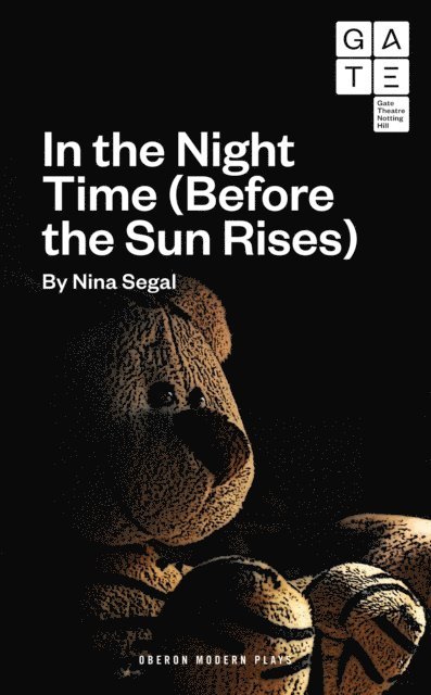 Nina Segal - In the Night Time (Before the Sun Rises), E-bok