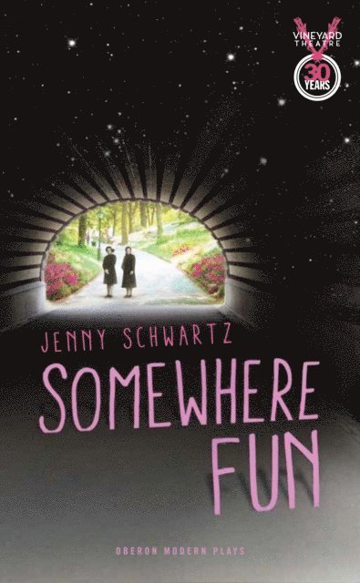 Jenny Schwartz - Somewhere Fun, E-bok