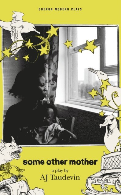 AJ Taudevin - Some Other Mother, E-bok