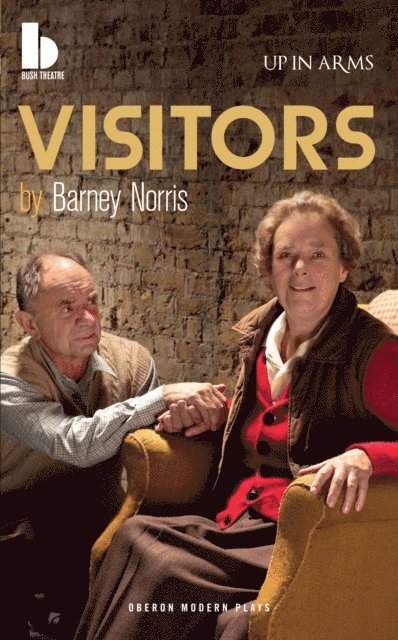 Barney Norris - Visitors, E-bok