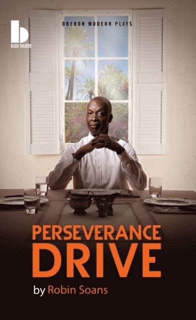 Robin Soans - Perseverance Drive, E-bok