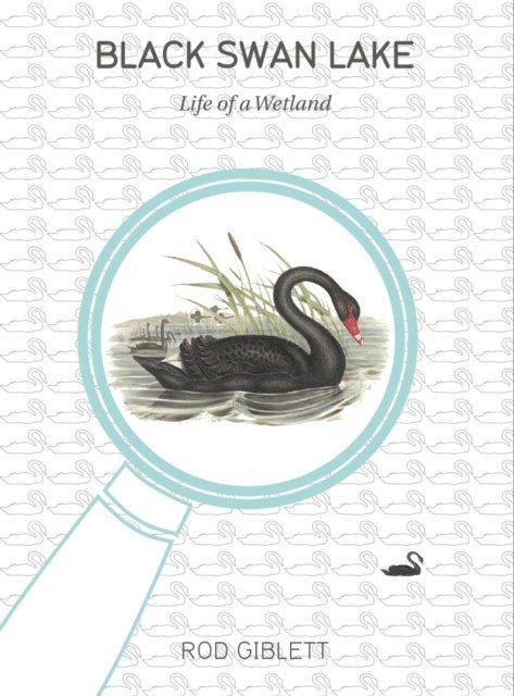 Rod Giblett - Black Swan Lake, E-bok