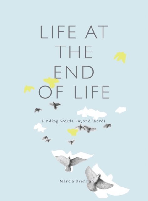 Marcia Brennan - Life at the End of Life, E-bok