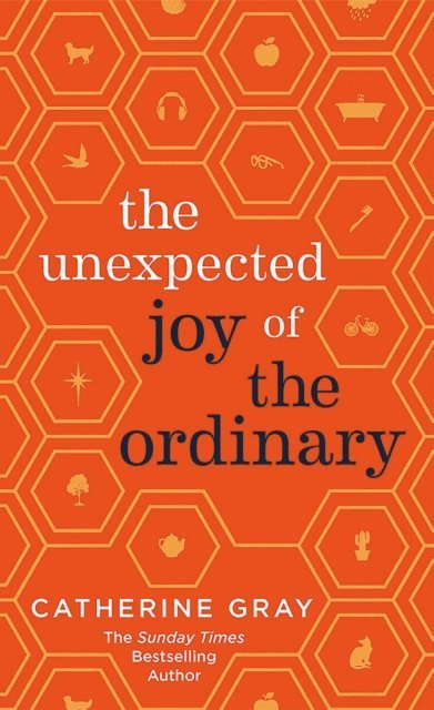 Catherine Gray - Unexpected Joy of the Ordinary, E-bok