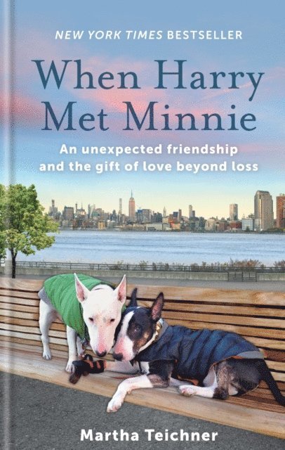 Martha Teichner - When Harry Met Minnie, E-bok
