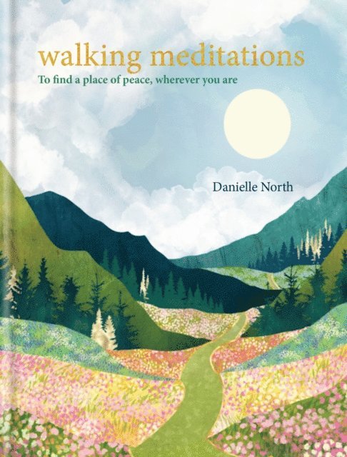 Danielle North - Walking Meditations, E-bok