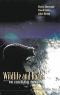 Wildlife And Roads: The Ecological Impact