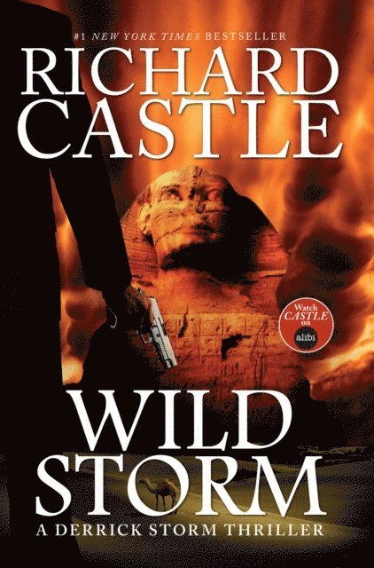Richard Castle - Wild Storm, E-bok