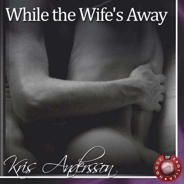 Kris Andersson - While the Wife's Away, Ljudbok. Tillgänglighet: Lägg i varukorg