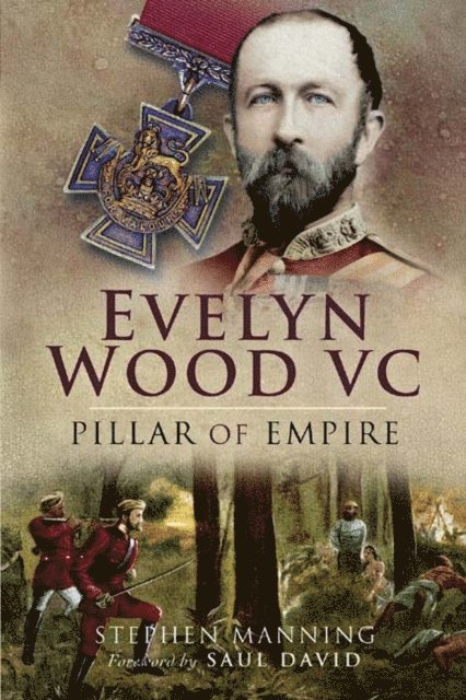 Stephen Manning - Evelyn Wood VC, E-bok
