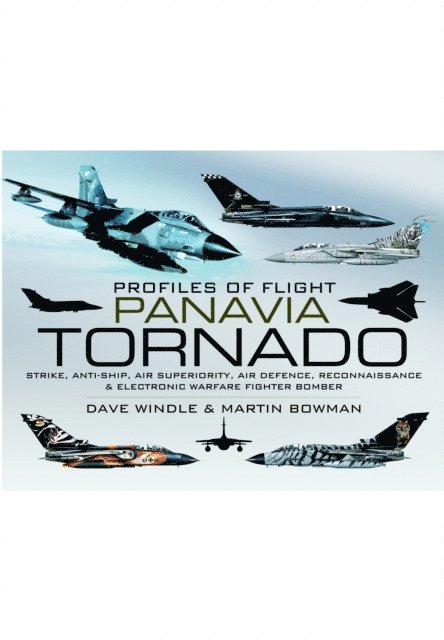 Martin W. Bowman, Dave Windle - Panavia Tornado, E-bok