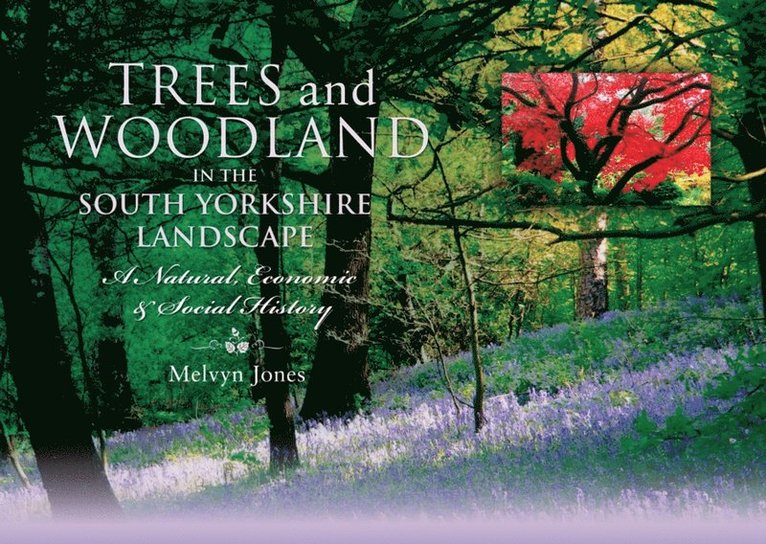 Melvyn Jones - Trees and Woodland in the South Yorkshire Landscape, E-bok