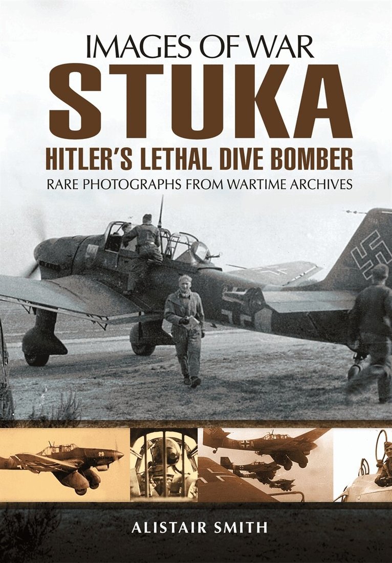 Alistair Smith - Stuka, E-bok