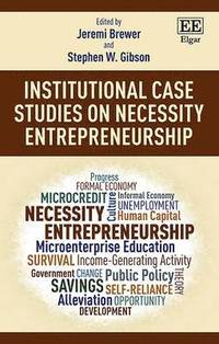 Institutional Case Studies on Necessity Entrepreneurship