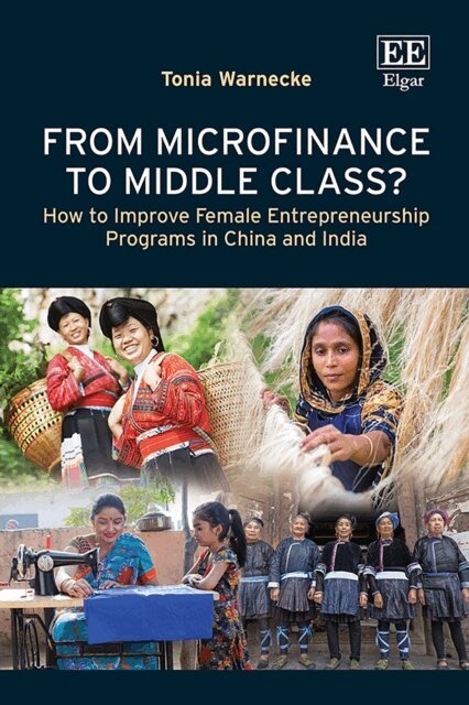 Tonia Warnecke - From Microfinance to Middle Class?, E-bok