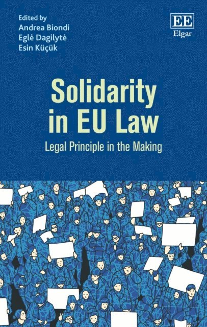 Esin Kucuk, Egle Dagilyte, Andrea Biondi - Solidarity in EU Law, E-bok