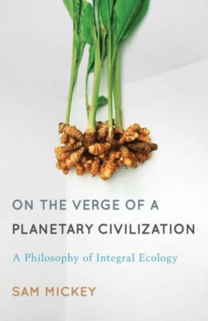 Sam Mickey - On the Verge of a Planetary Civilization, E-bok