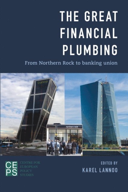 Karel Lannoo - Great Financial Plumbing, E-bok
