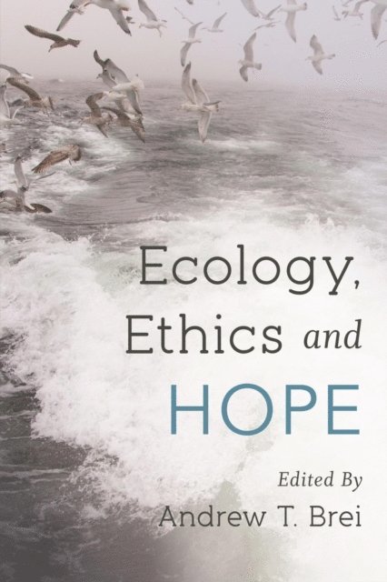 Andrew T. Brei - Ecology, Ethics and Hope, E-bok
