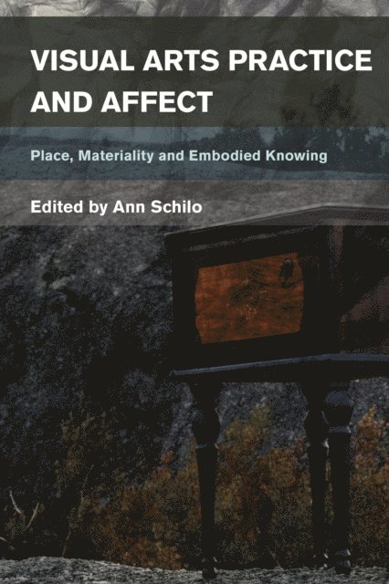Ann Schilo - Visual Arts Practice and Affect, E-bok
