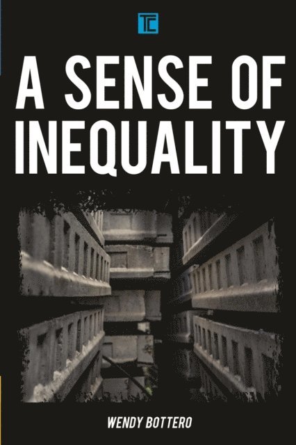Wendy Bottero - Sense of Inequality, E-bok