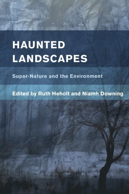 Ruth Heholt, Niamh Downing - Haunted Landscapes, E-bok
