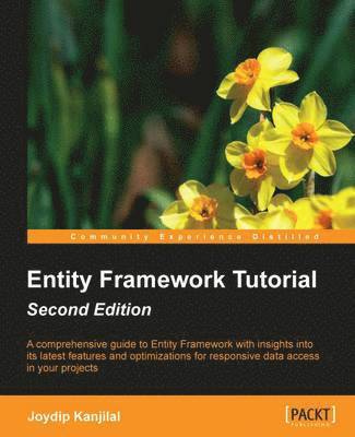 Joydip Kanjilal - Entity Framework Tutorial (Update), Häftad. Tillgänglighet: Lägg i varukorg