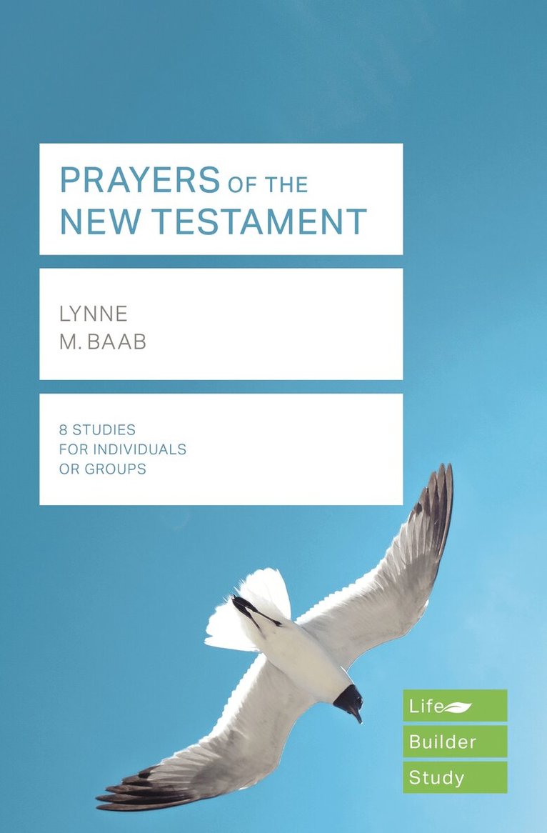 Lynne Baab - Prayers of the New Testament (Lifebuilder Study Guides), Häftad