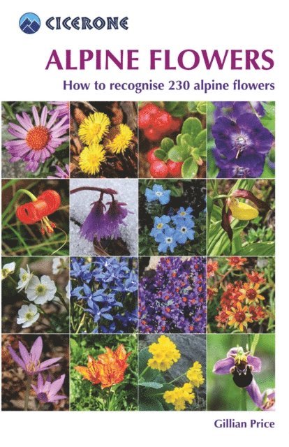 Gillian Price - Alpine Flowers, E-bok