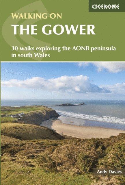 Andy Davies - Walking on the Gower, E-bok