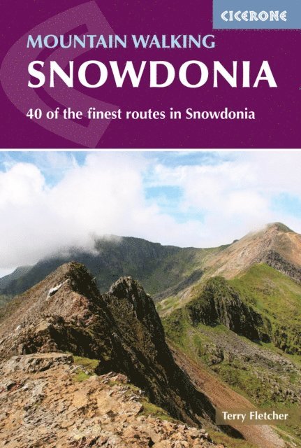 Terry Fletcher - Mountain Walking in Snowdonia, E-bok