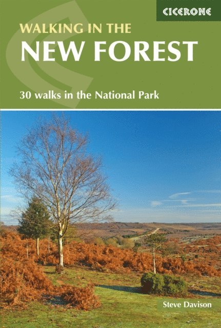 Steve Davison - Walking in the New Forest, E-bok