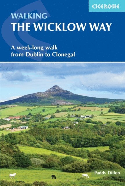 Paddy Dillon - Walking the Wicklow Way, E-bok