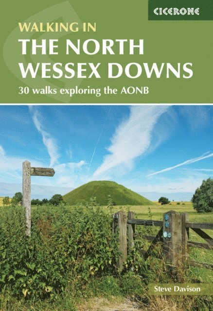 Steve Davison - Walking in the North Wessex Downs, E-bok