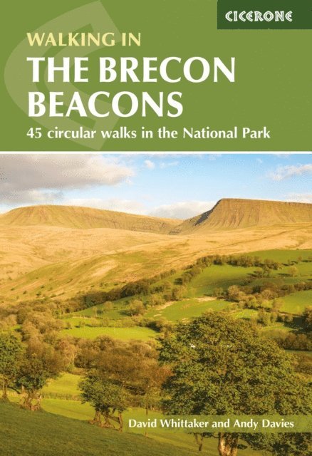 David Whittaker, Andy Davies - Walking in the Brecon Beacons, E-bok