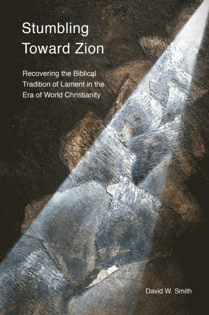 David W. Smith - Stumbling toward Zion, E-bok