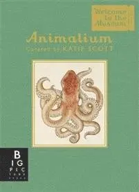 Jenny Broom - Animalium (Mini Gift Edition), Inbunden